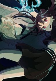 11629