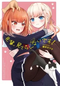 27865
