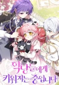 34411