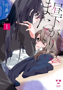 40548