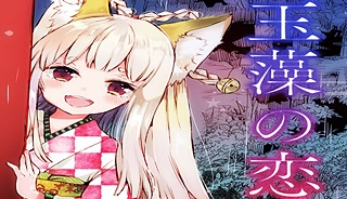 55495