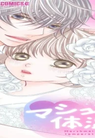 6304