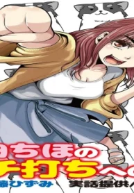 6523