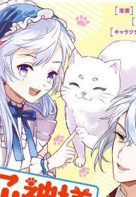 66604