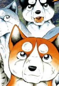 67330