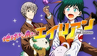 79626