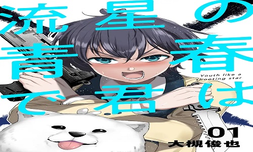 26724
