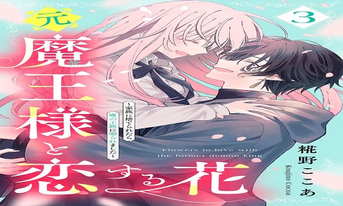 48101