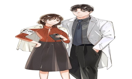 41295