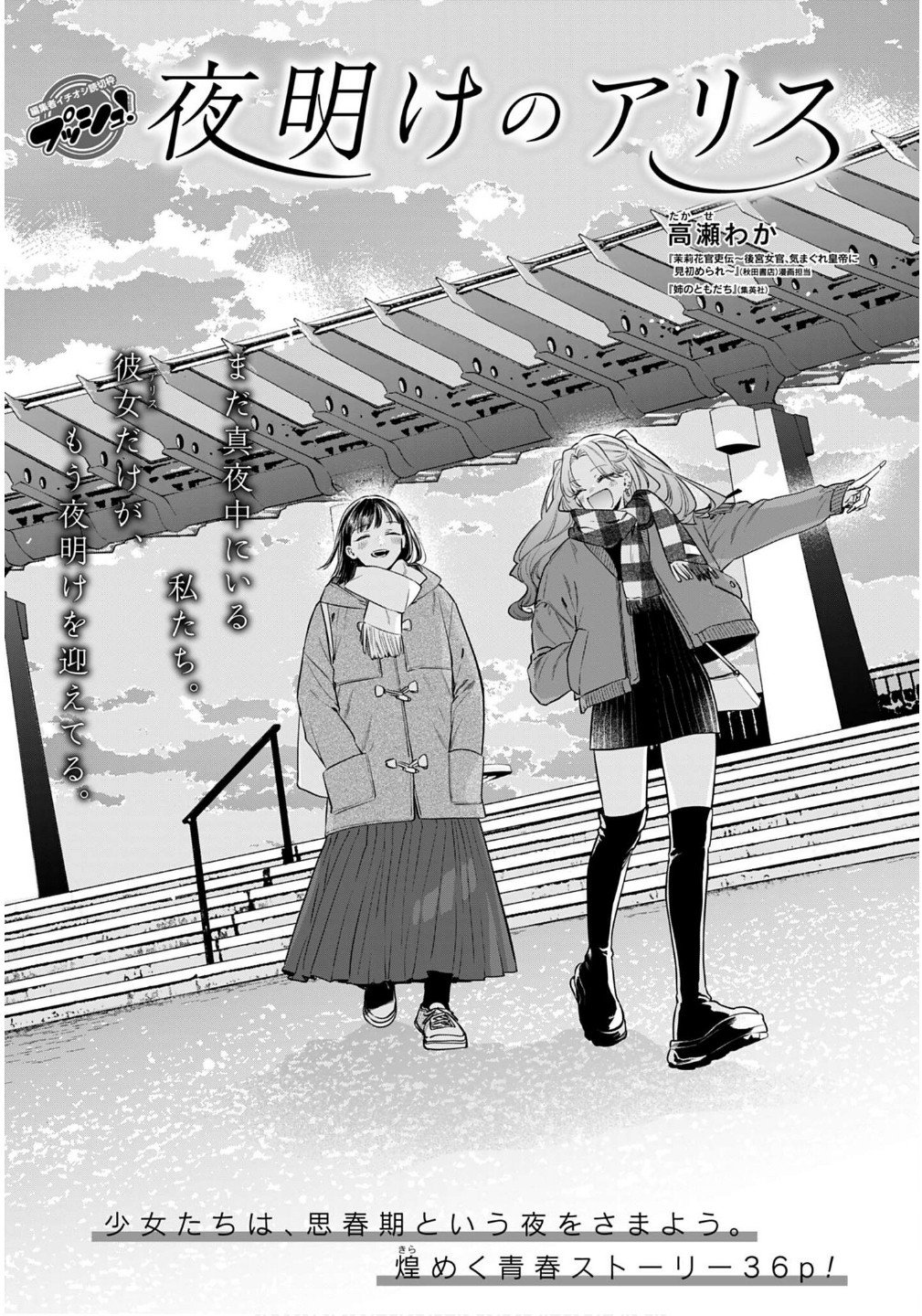 31203