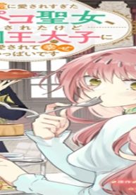 49262