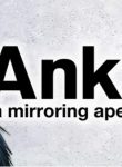 33572